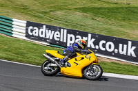 Lower Group Yellow Bikes